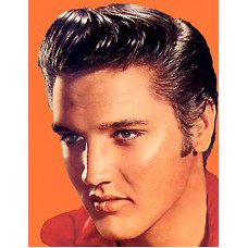  Coletânea  de Playbacks só Clássicos do Rei do Rock Elvis Presley -Playbacks em mp3