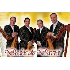 FELICIDADE - PARTITURA DE UM DOS CLÁSSICOS DO GRUPO DEDOS DE DAVI  -   (MELODIA)